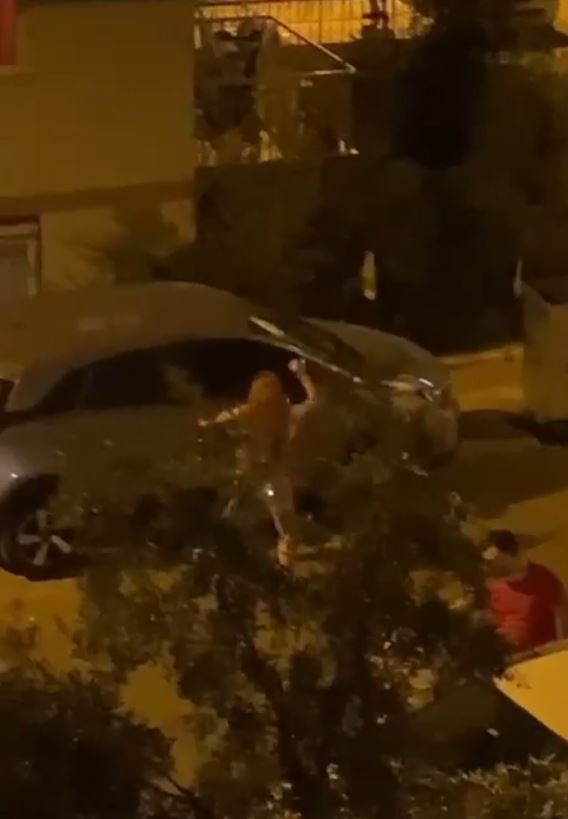 Sinir krizi geçiren genç kadın taşla otomobile saldırdı