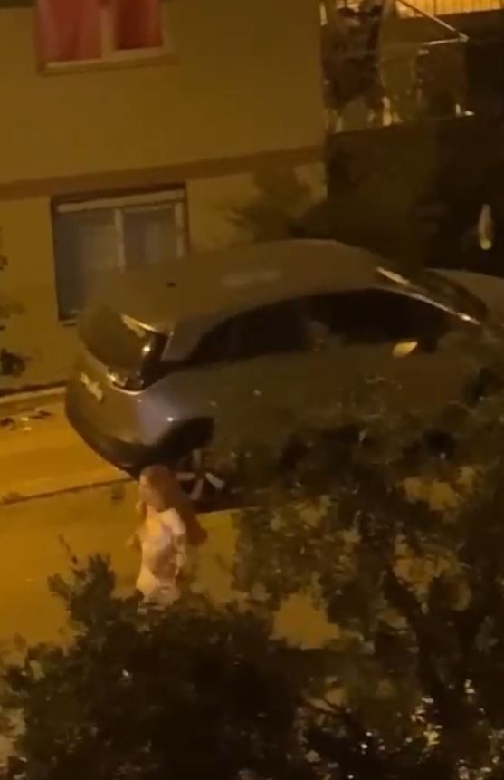 Sinir krizi geçiren genç kadın taşla otomobile saldırdı