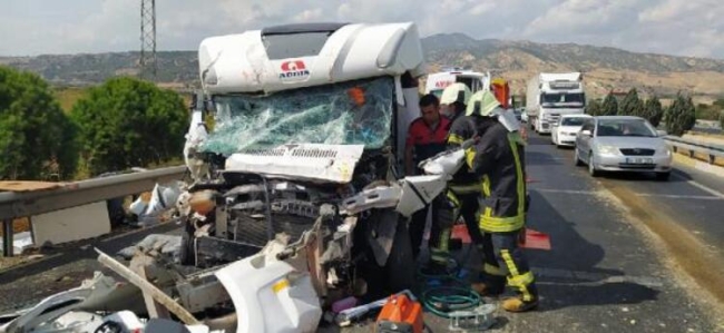 Ambulans hemşiresi, kaza yapan Çekyalı çiftin köpeğine sahip çıktı