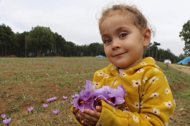Dünyanın her yerinden o bitkiyi görmeye geliyorlar