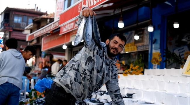 Palamut bolluğu: Tüketicinin yüzü gülüyor