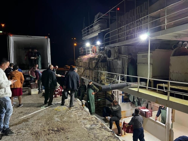 Denizden binlerce palamutla dönen balıkçıların yüzü gülüyor