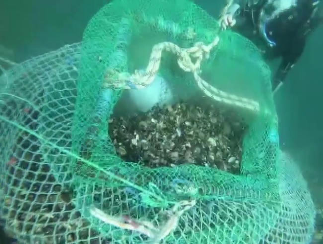Denizin 7 metre derinliğinde bulundu
