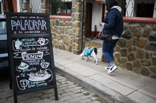 Dünyanın ilk köpek restoranı açıldı