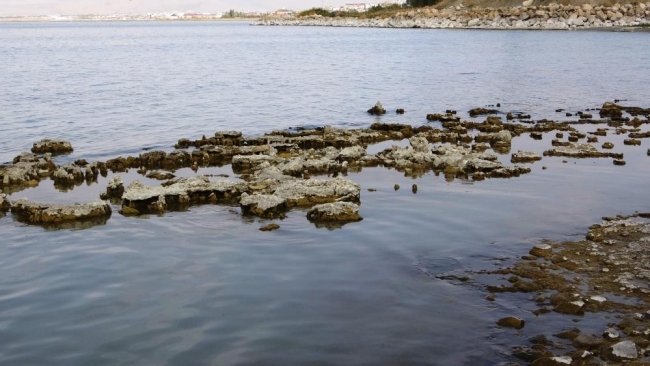 Sular çekilince mikrobiyalitler ortaya çıktı