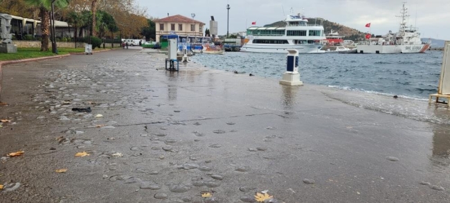 Lodos deniz analarını vurdu