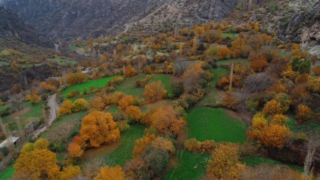 Harabe taş evler görenleri hayran bırakıyor