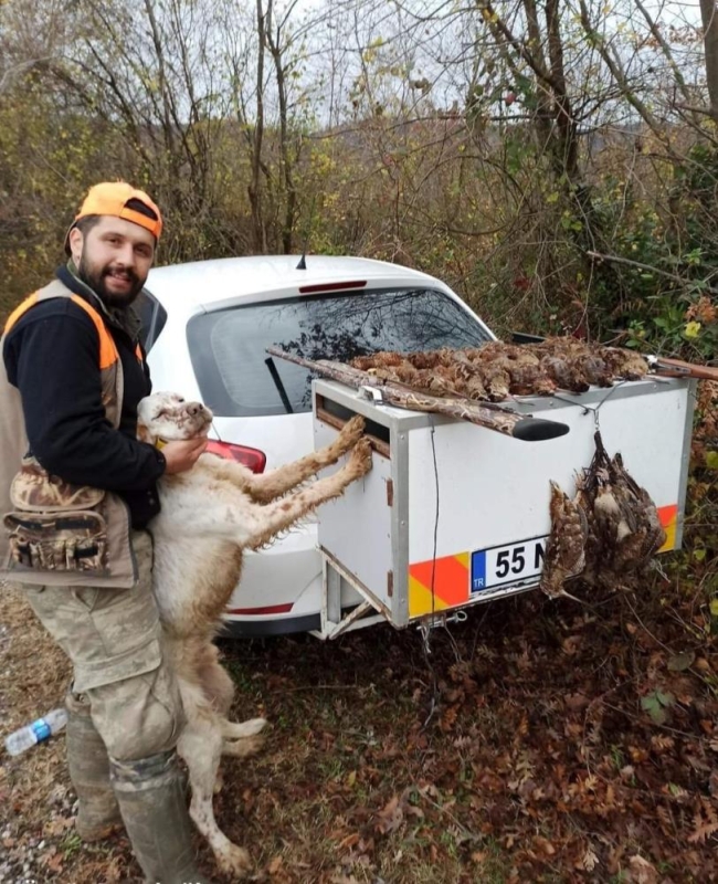 Köpeğin patisinin tetiğe dokunması sonucu can verdi