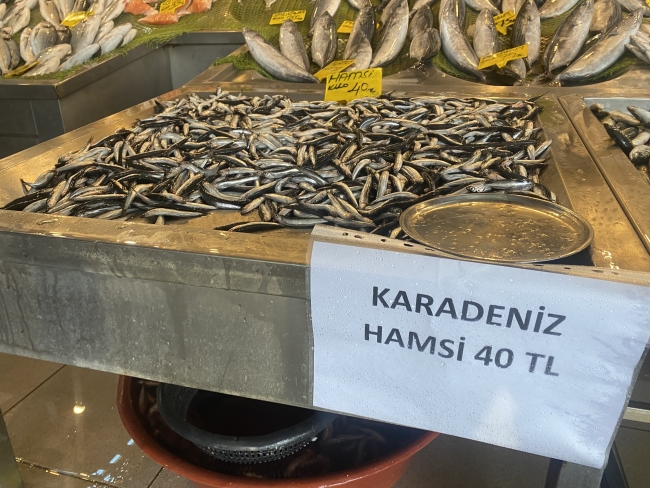 Balık tezgahları doldu! Fiyatlar düştü