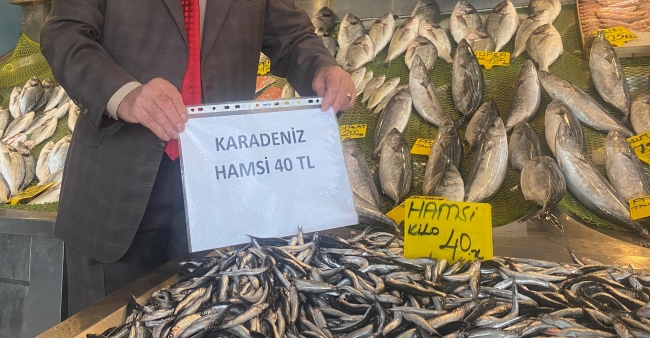 Balık tezgahları doldu! Fiyatlar düştü