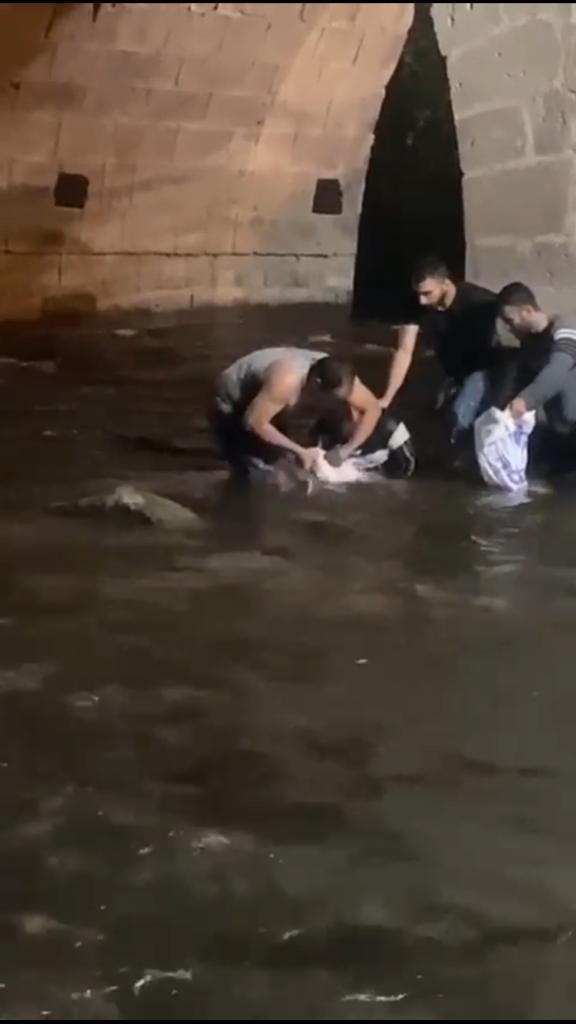 Dev balığı elleriyle yakaladı!