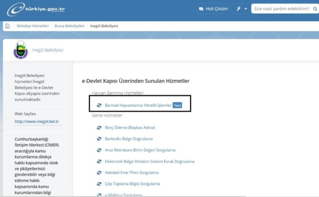 E-Devlet üzerinden hayvan sahiplenme işlemi başladı