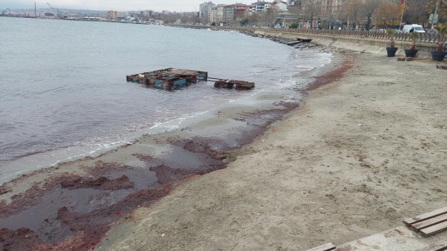Lodos sahili kızıla boyadı