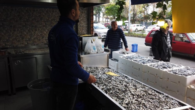 Türkiye'nin en ucuz hamsisi burada satılıyor