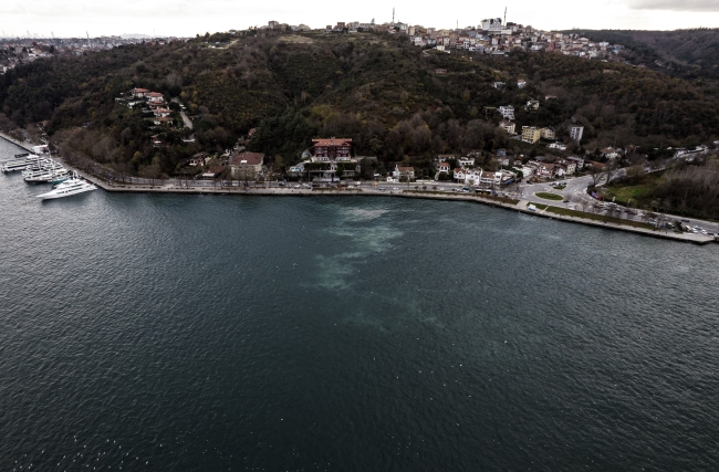 Sarıyer sahilinde endişe veren görüntü