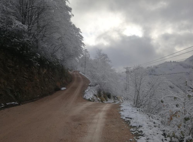Ordu'da kar manzaraları