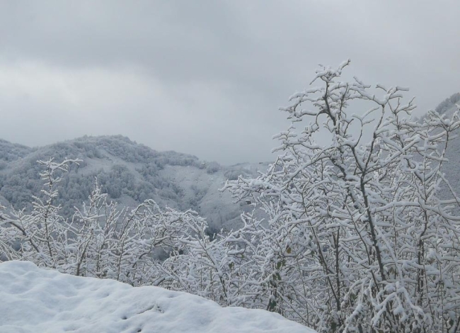 Ordu'da kar manzaraları