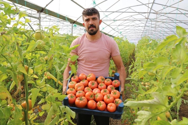 Şehir hayatından kaçıp köyünde sera kurdu