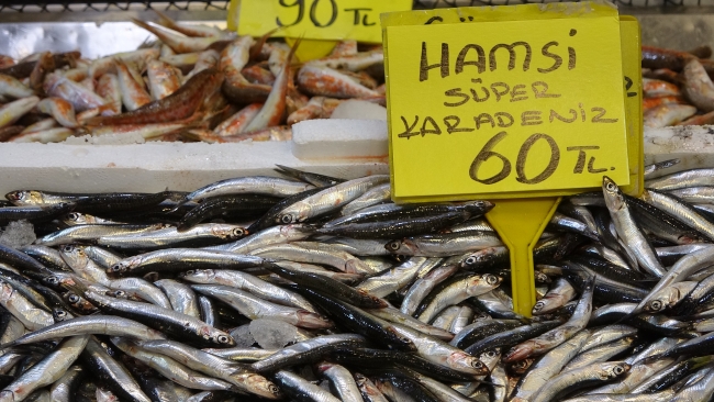Karadeniz’deki bereket hamsinin fiyatını düşürdü