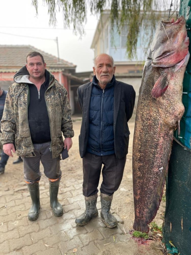 Oltaya takılan balığı görenler telefona sarıldı