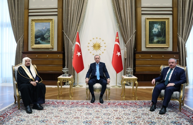 Cumhurbaşkanı Erdoğan, Muhammed Al Şeyh'i kabul etti
