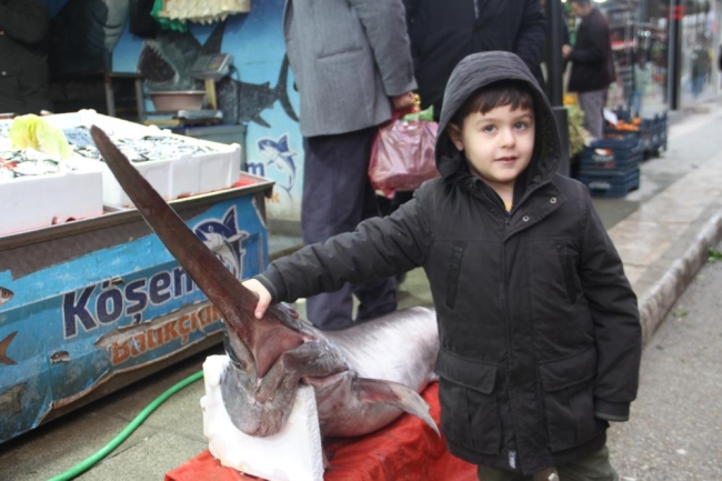 Bu balığı görenler fotoğraf çekmek için sıraya girdi