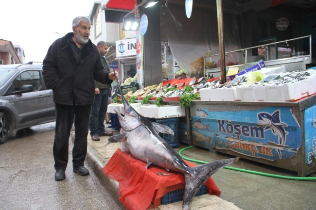 Bu balığı görenler fotoğraf çekmek için sıraya girdi