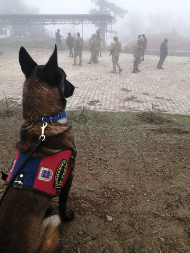 Kayıp kadın olayında cinayet iddiası