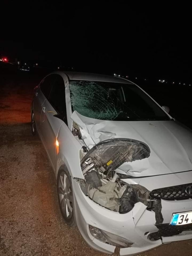 Bursa'da karşıya geçmek isterken canından oldu