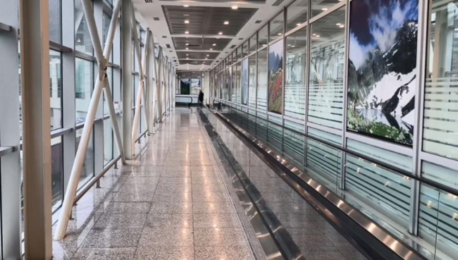 Sarp Sınır Kapısı'ndaki izdiham yerini sessizliğe bıraktı