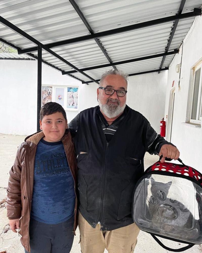 Kedinin midesindeki iğne operasyon ile alındı