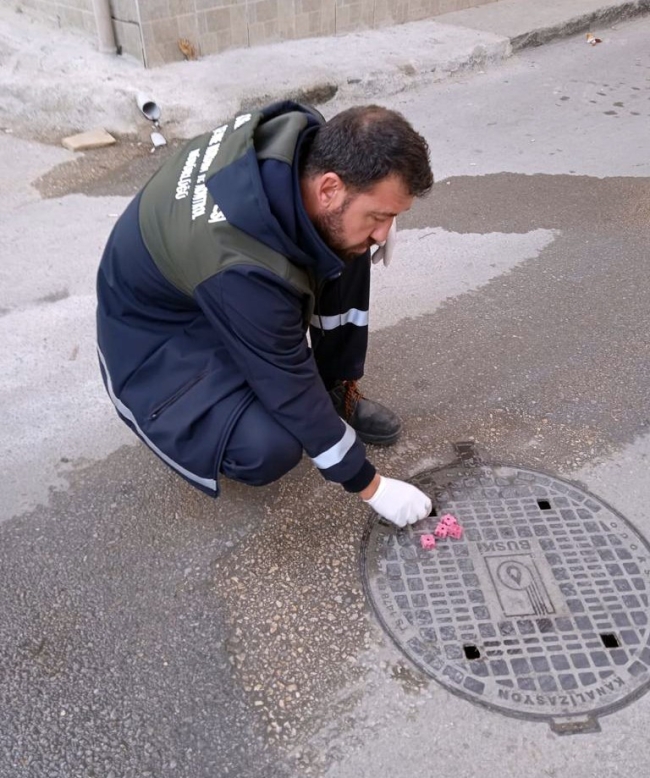 Bursa'da haşereler ile mücadele devam ediyor