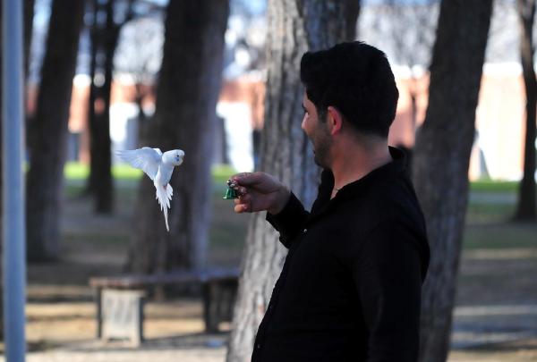 'Ponçik', sahibi ile çarşı, pazar, AVM geziyor