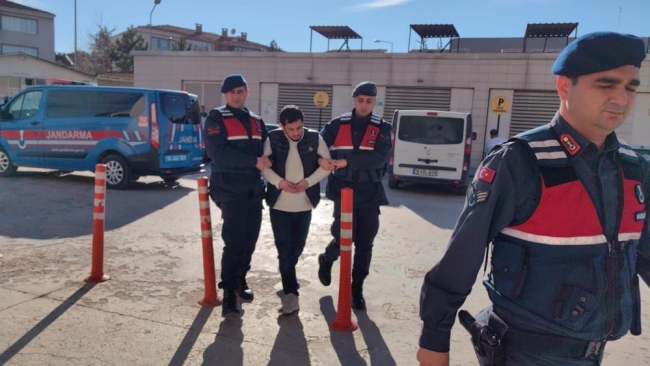 Bursa'da köpekleri vuran şahıs tutuklandı