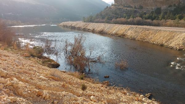 Koruma altında olan nehrin rengi, yine siyaha döndü