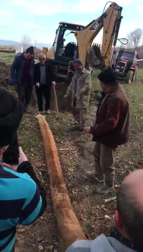 Tıkanan su borusundan çıktı: “Boa yılanı geliyor”
