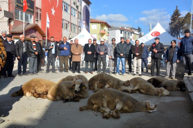 Yağmur duasında 7 tane koyun kesildi