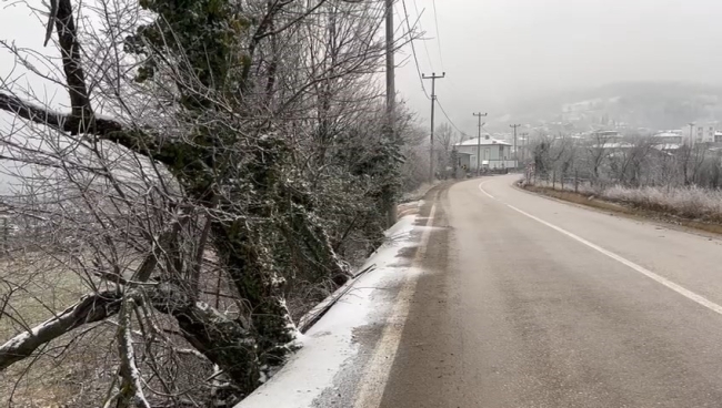 Bursa'da merkeze yılın ilk karı yağdı