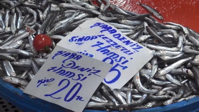 Bursa'da havalar soğudu, balık tezgahları şenlendi