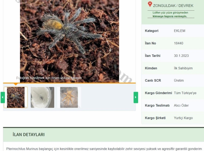 O hayvanın internet satışına dev ceza!
