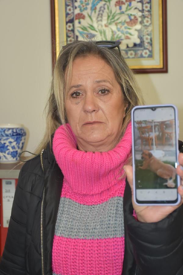 Tarçın için velayet davası: "O, köpek değil benim evladım"