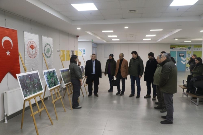 Bursa'da avcıların vurduğu ördekler tekrar doğaya bırakıldı