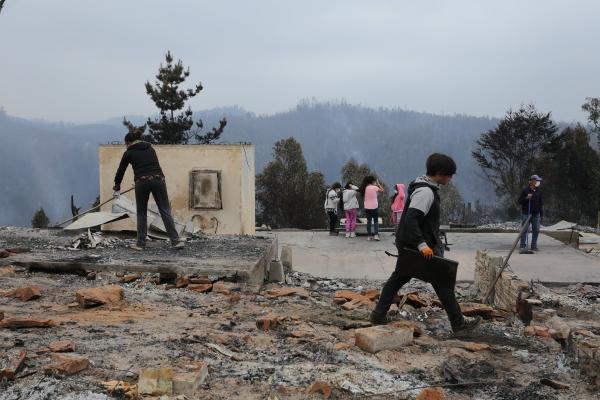 Şili’de orman yangını: 23 ölü, 979 yaralı