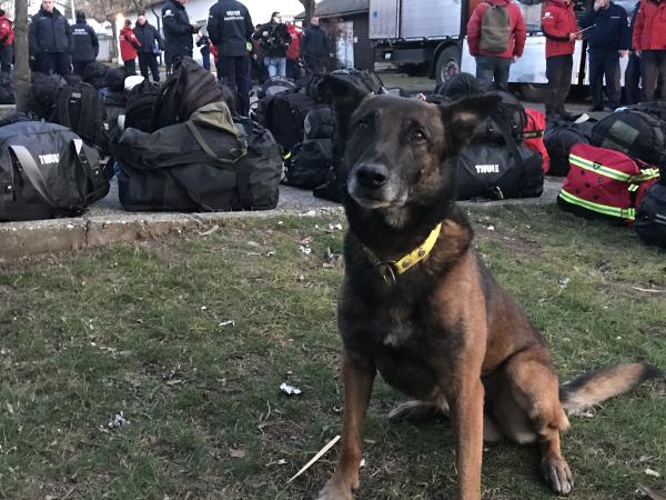 Avrupa Birliği açıkladı: Şimdiye kadarki en büyük arama-kurtarma operasyonu