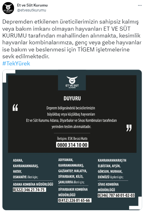Depremden etkilenen hayvanlar ile ilgili yeni gelişme