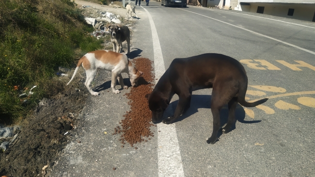 Nerede bir can varsa, orada Bursa var