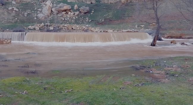 Deprem sonrası yükselen çay normale döndü
