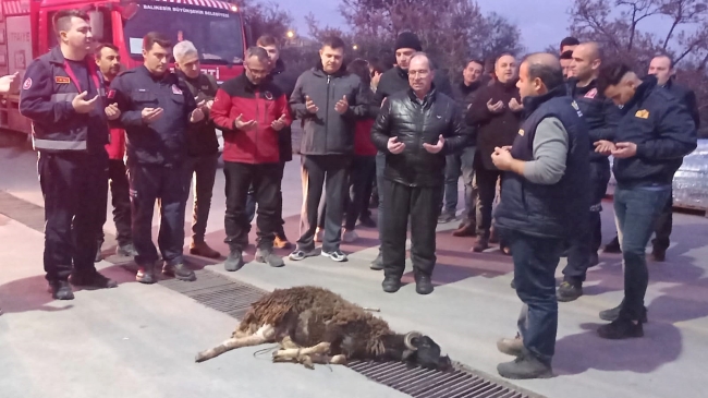 İtfaiyeci eşini, adak keserek karşıladı