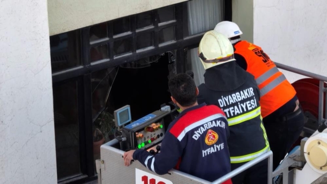 Galeria sitesinde mahsur kalan hayvanlar hakkında açıklama