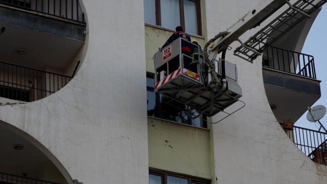 Galeria sitesinde mahsur kalan hayvanlar hakkında açıklama